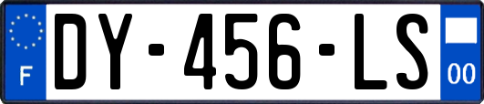 DY-456-LS