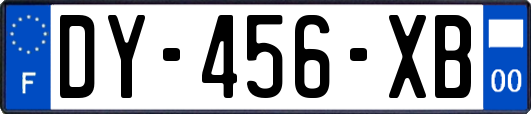 DY-456-XB