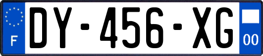 DY-456-XG