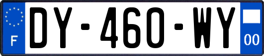 DY-460-WY