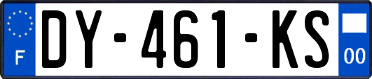 DY-461-KS