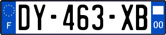 DY-463-XB