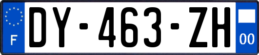 DY-463-ZH