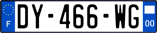 DY-466-WG