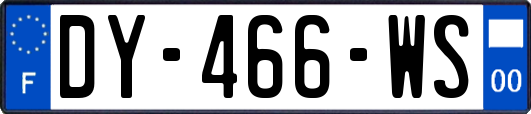 DY-466-WS