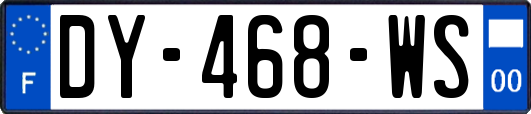 DY-468-WS