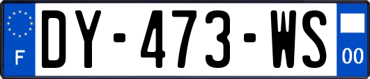 DY-473-WS