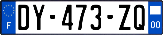 DY-473-ZQ