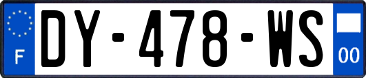 DY-478-WS