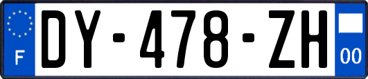 DY-478-ZH