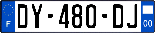 DY-480-DJ