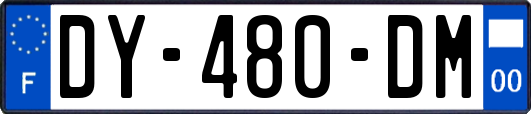 DY-480-DM