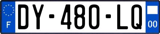 DY-480-LQ