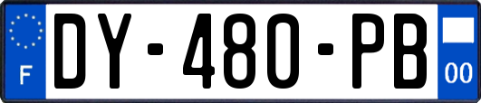 DY-480-PB