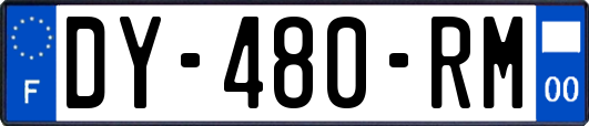 DY-480-RM