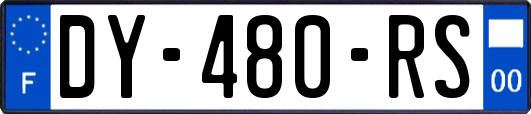 DY-480-RS