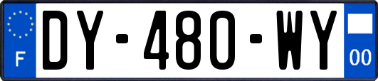 DY-480-WY