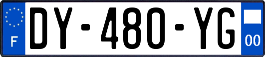 DY-480-YG