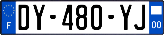 DY-480-YJ