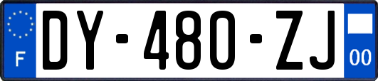 DY-480-ZJ