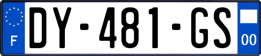 DY-481-GS