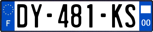 DY-481-KS