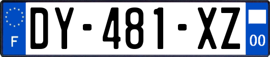 DY-481-XZ