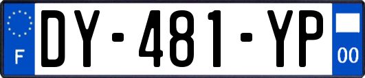 DY-481-YP