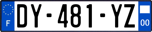 DY-481-YZ