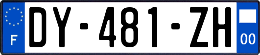 DY-481-ZH