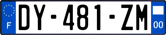 DY-481-ZM