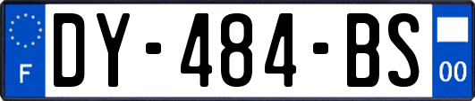 DY-484-BS