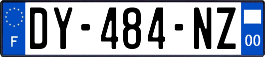 DY-484-NZ