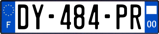 DY-484-PR
