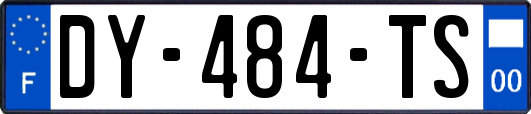 DY-484-TS