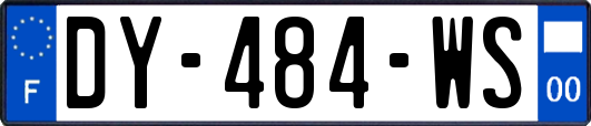 DY-484-WS