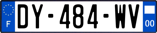 DY-484-WV