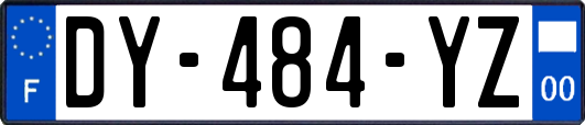 DY-484-YZ