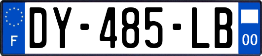 DY-485-LB