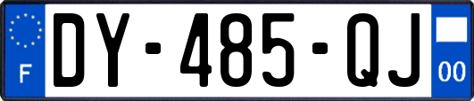 DY-485-QJ