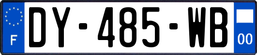 DY-485-WB