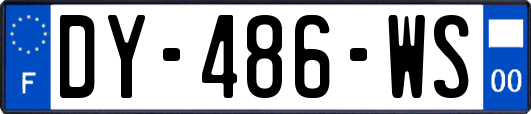 DY-486-WS