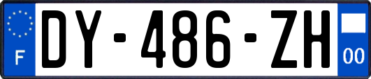 DY-486-ZH