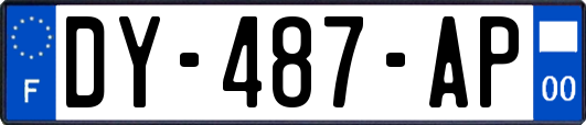 DY-487-AP