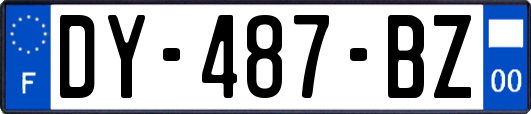 DY-487-BZ