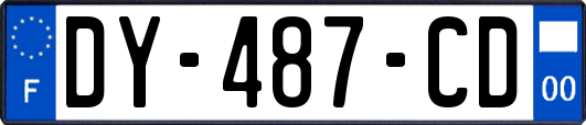 DY-487-CD