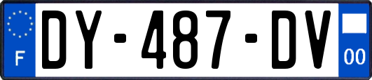 DY-487-DV