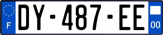 DY-487-EE