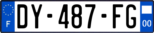 DY-487-FG