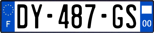 DY-487-GS